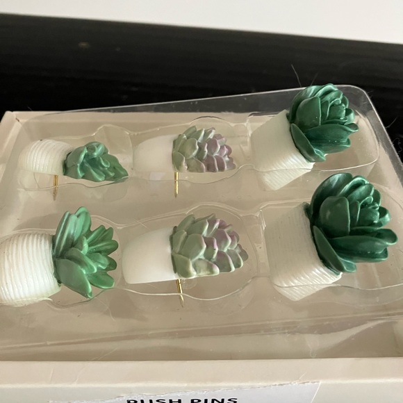NEW Potted Succulent Push Pins - Picture 3 of 3